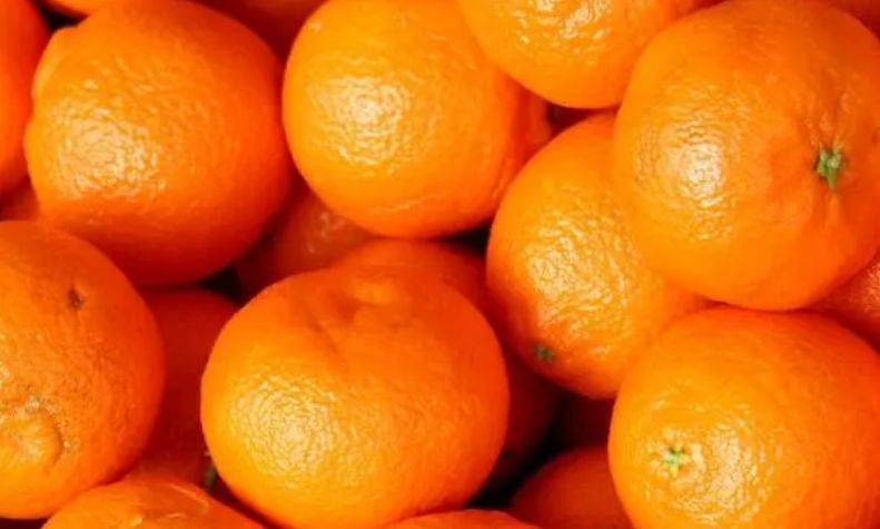 橘子和苹果的笑话中文版:冬天到了，这些水果适合多吃（一）