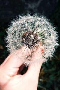 下载赚钱游戏苹果版-第4张图片-太平洋在线下载 下载赚钱游戏苹果版-第4张图片-太平洋在线下载