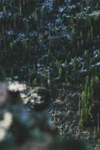 手游版冒险岛苹果版-第4张图片-太平洋在线下载 手游版冒险岛苹果版-第4张图片-太平洋在线下载