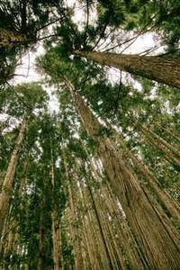 苹果版电脑系统-第2张图片-太平洋在线下载 苹果版电脑系统-第2张图片-太平洋在线下载