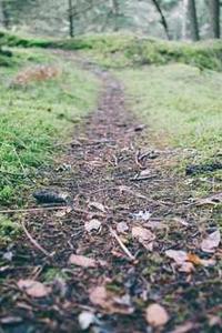 苹果家庭版做法
