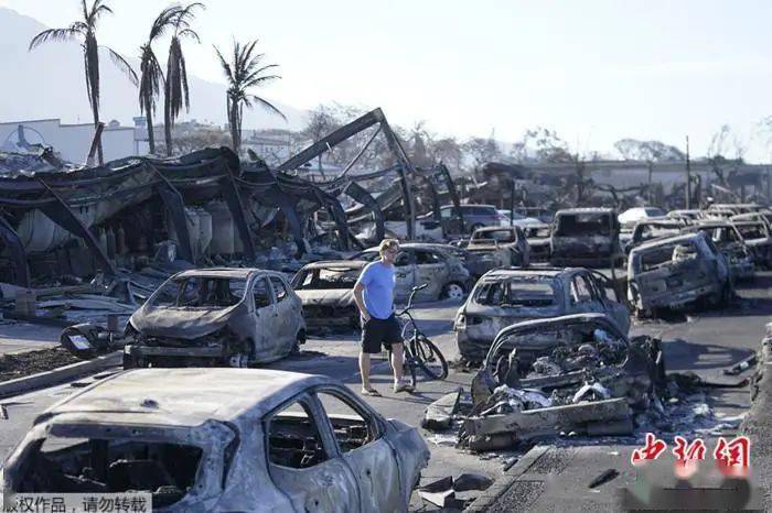 手机远程手机软件:夏威夷野火已致93死！幸存者曝光可怕细节