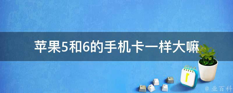 亚太版的苹果5进入iphone官网查序列号