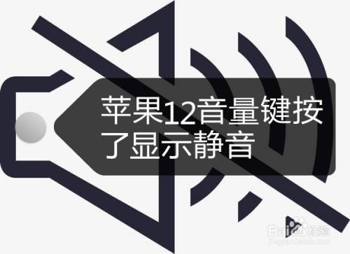 如何把新闻静音关闭了苹果apple打电话两边都听不到声音怎么回事