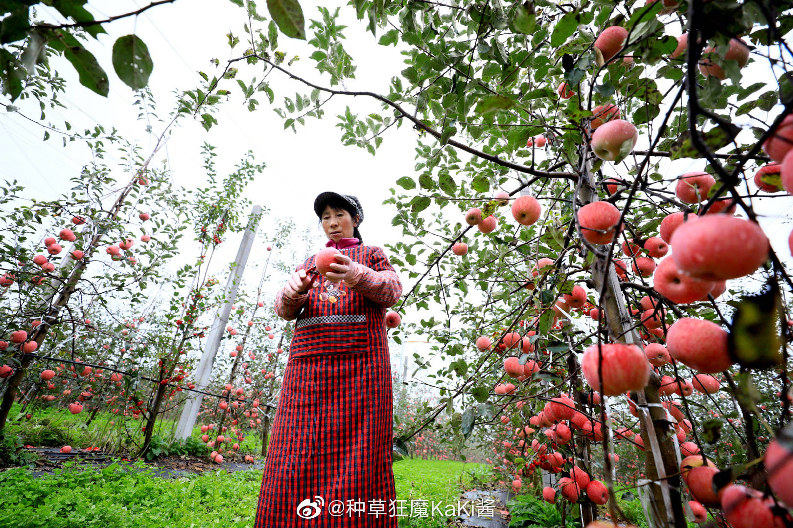 苹果桌面显示新闻栏不见了苹果12音乐未打开怎么在屏幕显示