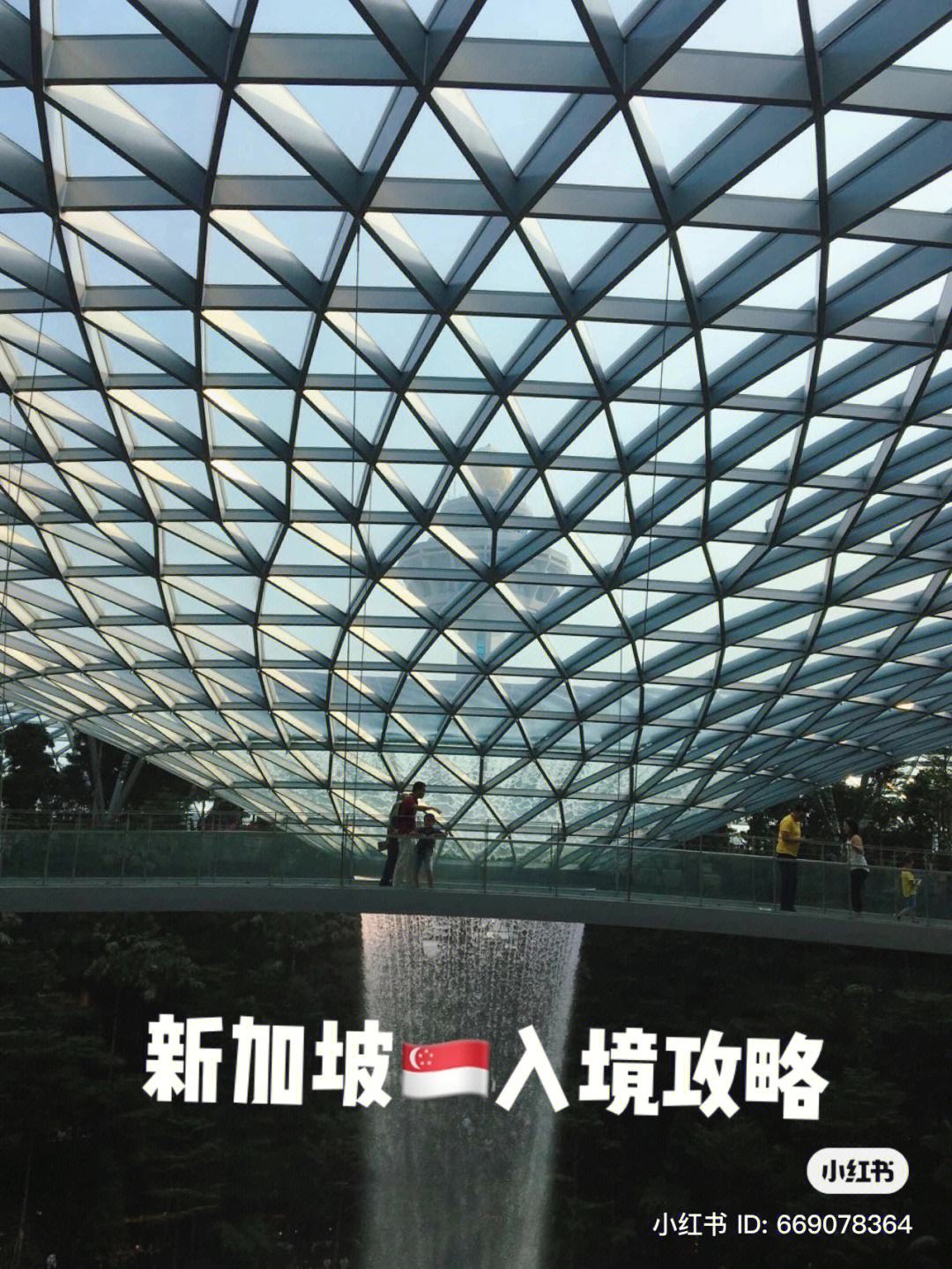 tracetogether安卓版tracetogether中文安卓下载安装