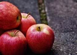 苹果版盛世天下盛世app苹果版
