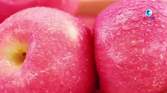 ifakelocation苹果版(ifakelocation软件拥有苹果手机定位修改功能)-第2张图片-QuickQ官网