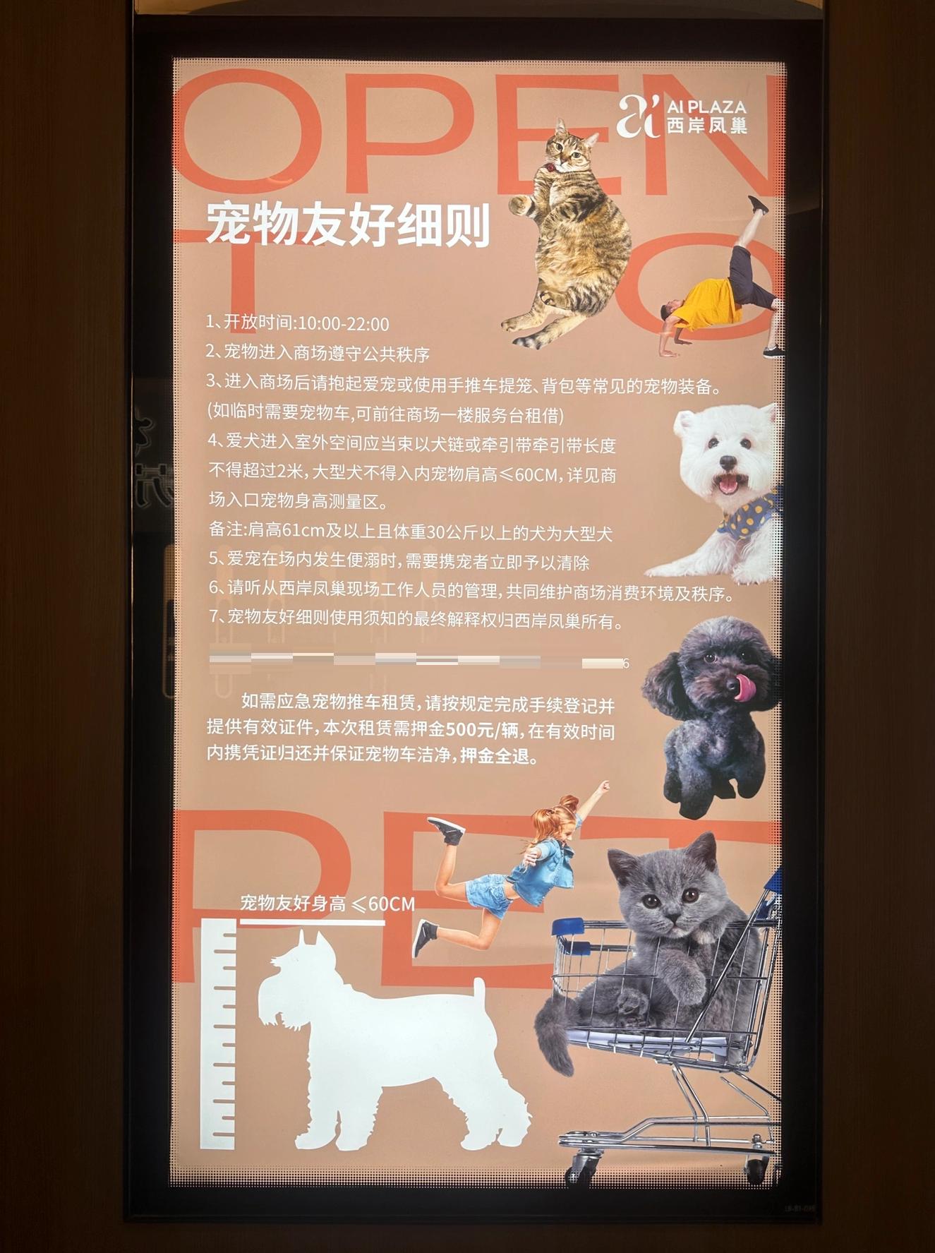 宠物车购车攻略手机版(宠物车购车攻略手机版app)-第4张图片-QuickQ官网