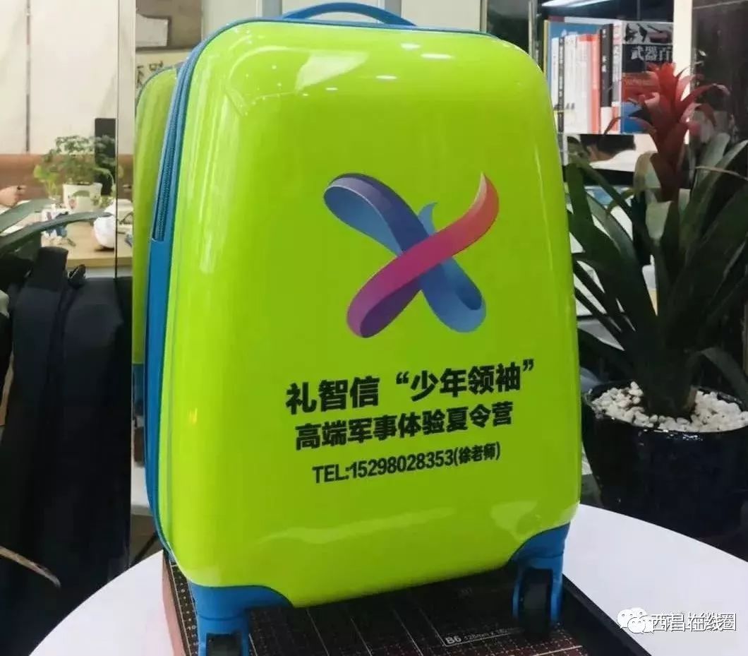 东莞少年抢手机版下载(东莞少年宫2021网上怎么报名)