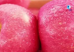 MlPC苹果版(mipc苹果下载)-第5张图片-QuickQ官网