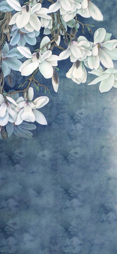 苹果国风版(苹果手机国版)