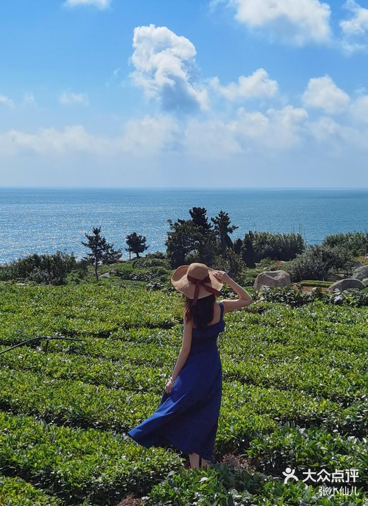 张晓仙手机版(张晓琪百度百科)